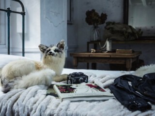 Le CAVE STUDIOのスタジオ画像13
