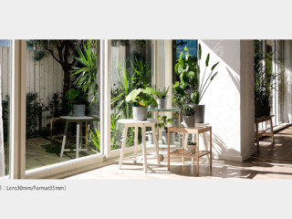 Todoroki Studio House & Gardenのスタジオ画像10