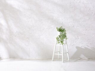 studio Grandbois A studioのスタジオ画像8