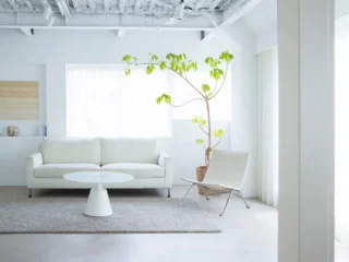 betini studioのスタジオ画像7