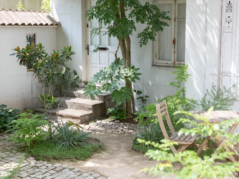 mimosa house resort スタジオメイン画像5